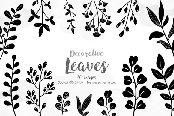 Decorative Leaves: Elevating Designs with High-Quality Transparent Assets
