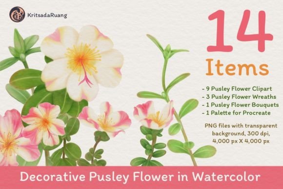 Decorative Pusley Flower in Watercolor: A Comprehensive Evaluation for Designers