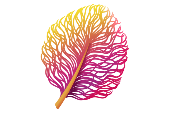 Fluffy Feather. Colorful Decorative Bird: A Practical Asset Review