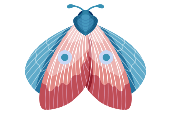 The Allure of the Colorful Moth with Decorative Spot Ornament: Bridging Nature and Digital Art