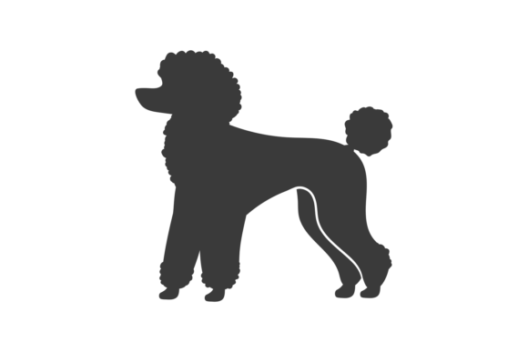 The Strategic Value of the Poodle Silhouette in Modern Brand Identity and Digital Asset Management